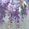rhea_swain